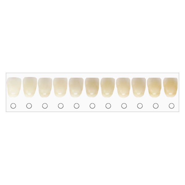 BleachRefills Tooth Whitening Shade Guide (1 pk) Tooth Whitening
