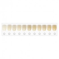 BleachRefills Tooth Whitening Shade Guide (1 pk)