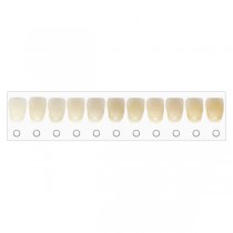 BleachRefills Tooth Whitening Shade Guide (1 pk)