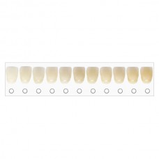 BleachRefills Tooth Whitening Shade Guide (1 pk)